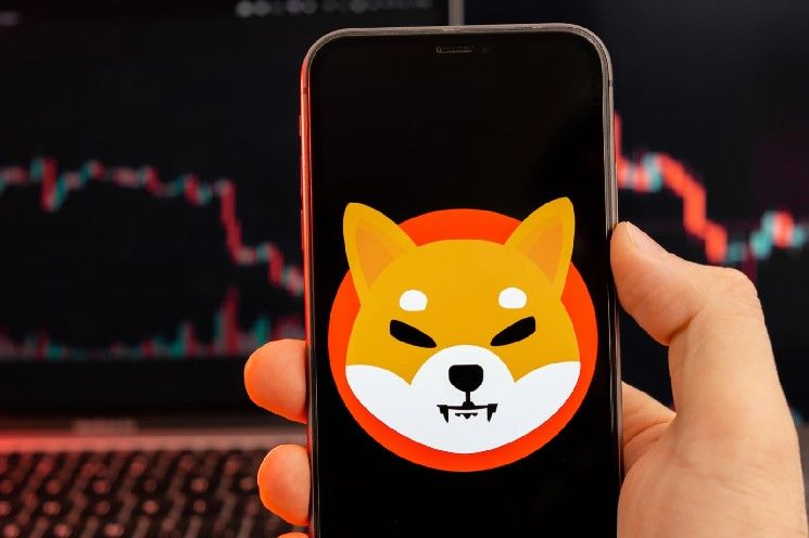 انتهى الاتجاه الصاعد لـ Shiba Inu (SHIB): السعر يهبط تحت دعم خط الاتجاه الرئيسي