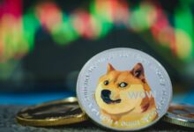آمن أم مشبوه؟ شراكة Wealthsimple مع X وماذا تعني لعملة Dogecoin