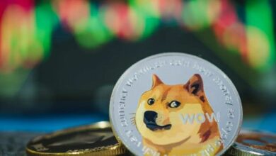 آمن أم مشبوه؟ شراكة Wealthsimple مع X وماذا تعني لعملة Dogecoin