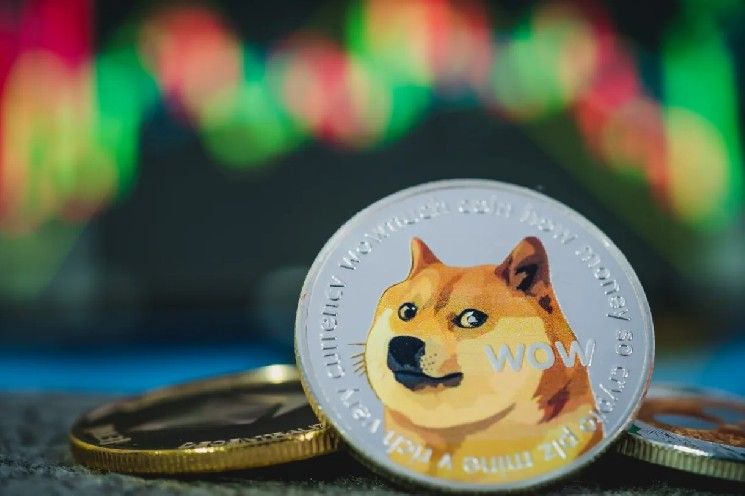 آمن أم مشبوه؟ شراكة Wealthsimple مع X وماذا تعني لعملة Dogecoin