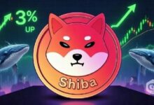 سعر شيبا إينو (SHIB) يرتفع 3.22% وسط انتعاش فني في السوق