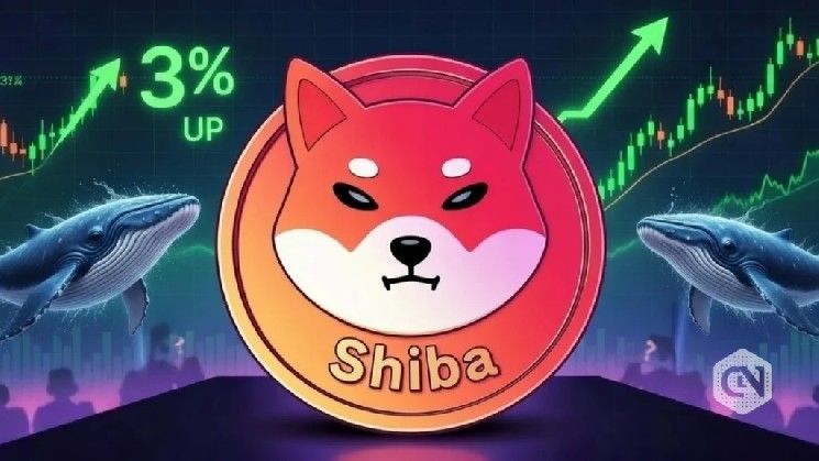 سعر شيبا إينو (SHIB) يرتفع 3.22% وسط انتعاش فني في السوق
