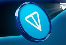 شبكة TON: دوروف يؤكد خفض الرسوم 6 أضعاف مع معاملات مجانية بالكامل قريبًا