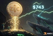 لماذا اختبار Zcash عند 743 دولاراً أهم من ارتفاع ZEC نفسه