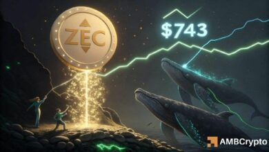لماذا اختبار Zcash عند 743 دولاراً أهم من ارتفاع ZEC نفسه