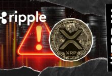 لا، مؤسسة XRP Ledger لا توزع Ripple USD مجاناً، إنه احتيال