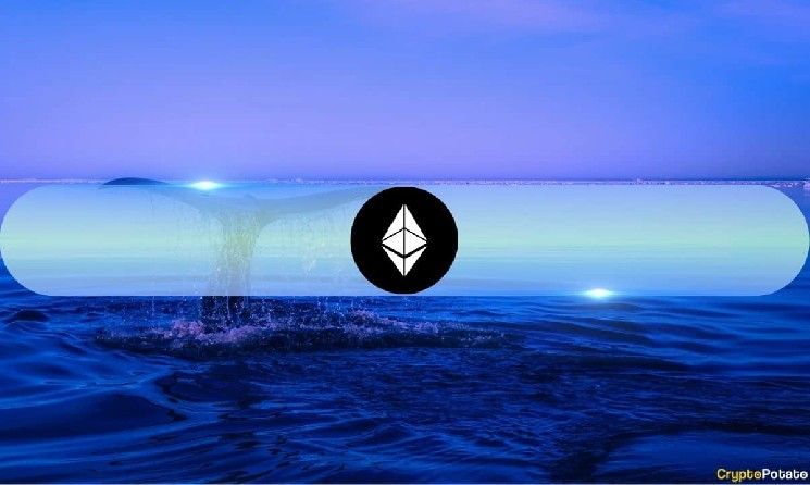 أكبر محافظ إيثريوم تسيطر على أكثر من 22% من إجمالي العرض وسط موجة تراكم جديدة