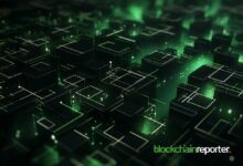 "العملات المستقرة تعيد تشكيل التمويل عبر بنية تحتية بلوكتشين أصلية"، وفقًا لرئيس شركة Venom