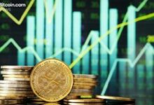 عنوان مترجم: تقارير صندوق "Canary XRP ETF" عن حيازة 213 مليون XRP بقيمة 305 ملايين دولار