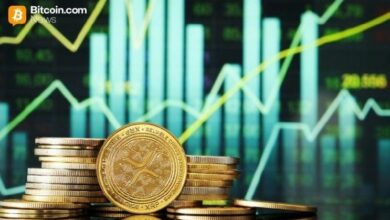 عنوان مترجم: تقارير صندوق "Canary XRP ETF" عن حيازة 213 مليون XRP بقيمة 305 ملايين دولار
