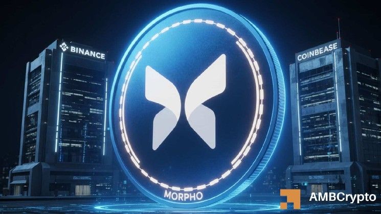 مستثمر أولي لـMORPHO يبيع 1.5 مليون دولار – لماذا لم ينهار السعر بعد؟