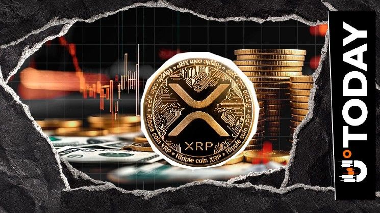 سحب 115 مليون XRP من منصات التداول الفورية، هل يتزايد الطلب؟
