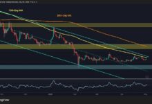 تحليل سعر الريبل: XRP يخسر أمام الدولار وينهار مقابل البيتكوين