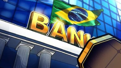 البرازيل تحظر تسوية العملات الرقمية في قنوات الدفع العابرة للحدود المنظمة