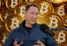 "المحلل المخضرم جوردي فيسر بعد 30 عامًا: "رأس المال يتدفق إلى بيتكوين – ماذا بعد؟"