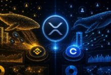عودة هيمنة حيتان XRP إلى Binance بينما تروي بيانات Coinbase قصة مختلفة