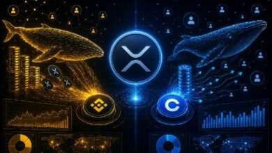 عودة هيمنة حيتان XRP إلى Binance بينما تروي بيانات Coinbase قصة مختلفة
