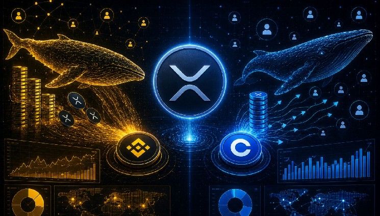عودة هيمنة حيتان XRP إلى Binance بينما تروي بيانات Coinbase قصة مختلفة