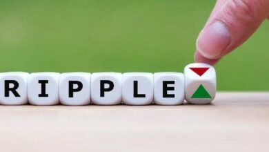 من الوعد إلى الأثر: تبرع Ripple بقيمة 25 مليون دولار للتعليم يعيد تشكيل الفصول الدراسية في أمريكا