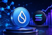 قصة نمو Sui تكتسب زخمًا مع تفوق كفاءة رأس المال على مقارنات Solana