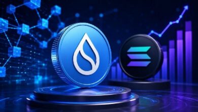 قصة نمو Sui تكتسب زخمًا مع تفوق كفاءة رأس المال على مقارنات Solana