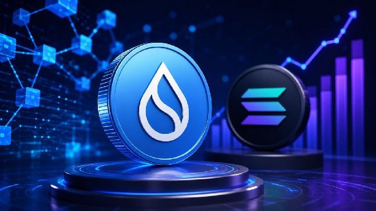 قصة نمو Sui تكتسب زخمًا مع تفوق كفاءة رأس المال على مقارنات Solana