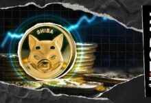 حاملو Shiba Inu يوسعون موجة البيع الحادة مع خروج 207 مليار SHIB من البورصات