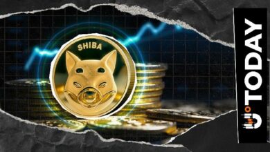 حاملو Shiba Inu يوسعون موجة البيع الحادة مع خروج 207 مليار SHIB من البورصات