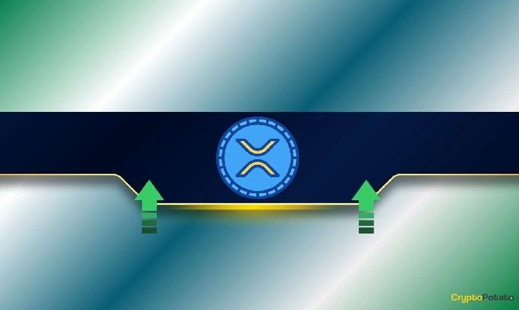 تنبيه سعر XRP: إشارة شراء كبرى تظهر مع توقعات المحللين بحركة ضخمة قادمة