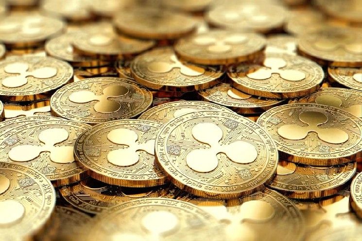 صناديق XRP المتداولة تجذب تدفقات مع ارتفاع المحافظ. صناديق البيتكوين والإيثيريوم تواجه صعوبات