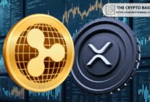 إليك قيمة ثروة مسؤولي ريبل إذا وصل إكس آر بي إلى 1000 دولار