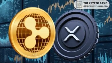 إليك قيمة ثروة مسؤولي ريبل إذا وصل إكس آر بي إلى 1000 دولار