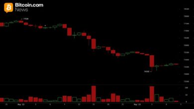 تحليل سعر البيتكوين: BTC تخاطر بهبوط أعمق دون 74 ألف دولار