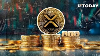 عنوان XRP يجذب 1.4 مليار دولار في تدفقات صناديق الاستثمار المتداولة