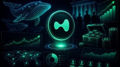 **ارتفاع رهانات حوت HYPE مع وصول التراكم المؤسسي إلى 170 مليون دولار**