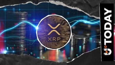 تم إنشاء 4,300 محفظة XRP في يوم واحد مع تسجيل الشبكة لأكبر طفرة نمو رابعة في 2026