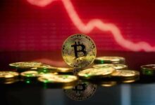 خبير اقتصادي شهير يحذر: انهيار البيتكوين سيكون كارثياً