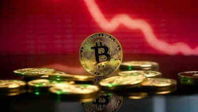 خبير اقتصادي شهير يحذر: انهيار البيتكوين سيكون كارثياً