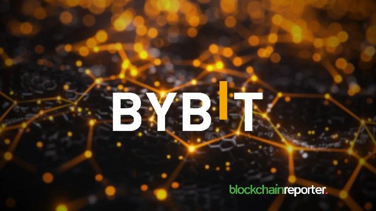 بيبِت يوسع نطاق الخيارات المؤسسية عبر تكامل طلب عروض الأسعار مع أوربت ماركتس