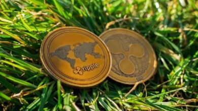 ترامب يدفع نحو التكنولوجيا المالية.. هل يفتح بابًا غير متوقع لـ"ريبل" و"XRP" في الاحتياطي الفيدرالي؟