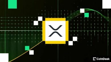 صناديق استثمار XRP الفورية تسجل أكبر تدفقات داخلة منذ يناير