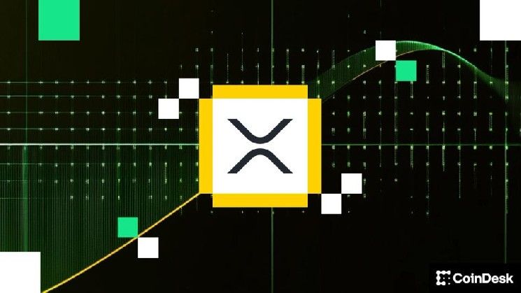 صناديق استثمار XRP الفورية تسجل أكبر تدفقات داخلة منذ يناير
