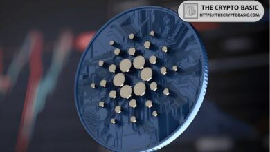 منتصف الليل (NIGHT) يضيف إلى نظام كاردانو البيئي أكثر مما يدركه البعض: ديفيد جوكشتاين