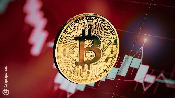 بيتكوين تواجه ضغط 7.75 مليون عملة مع تمسك الحائزين بالخسائر