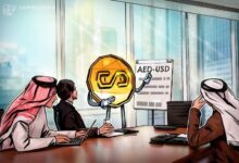 دعم نظام التسوية المؤسسية من خلال عملات مستقرة منظمة في الإمارات لتحويل الدرهم إلى الدولار