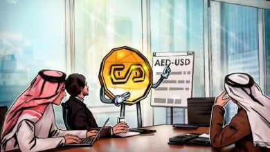 دعم نظام التسوية المؤسسية من خلال عملات مستقرة منظمة في الإمارات لتحويل الدرهم إلى الدولار