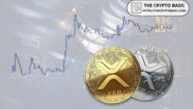 XRP يواجه احتمالية العودة إلى نطاق الدعم الرئيسي في 2026، وفقًا لمحلل
