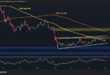 تحليل سعر الإيثيريوم: هل إيثر في خطر خلال مايو مع تحول مؤشر رئيسي للسلبية؟