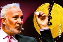 استراتيجية نموذج الأسهم إلى البيتكوين ضمن ثلاثة دومينوات ديون متساقطة: بيتر شيف