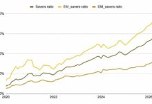 بينانس: 77% من مستخدمي الأسواق الناشئة يتعاملون مع منصات التداول كتطبيقات بنكية